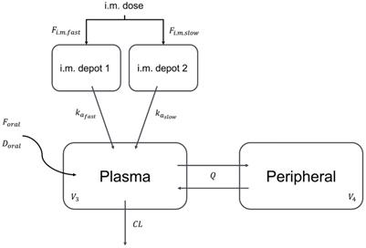 Population pharmacokinetics of rilpivirine following oral administration and long-acting intramuscular injection in real-world people with HIV